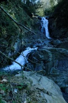 Waterfall into jungle Stock Photos