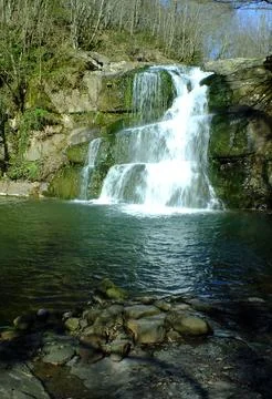 Waterfall into jungle Stock Photos