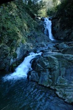 Waterfall into jungle Stock Photos