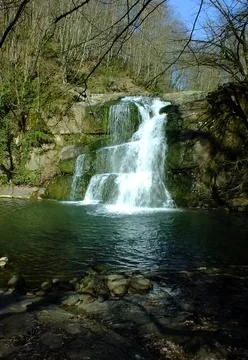 Waterfall into jungle Stock Photos
