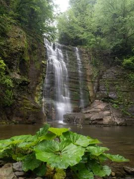Waterfall into jungle Stock Photos