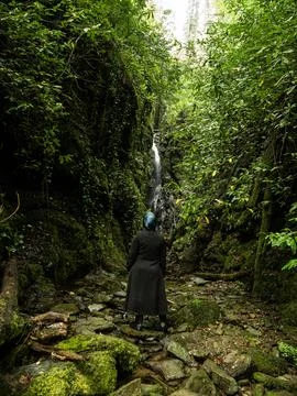 Waterfall into jungle Fotos de archivo
