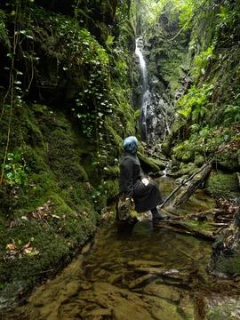 Waterfall into jungle Foto stock