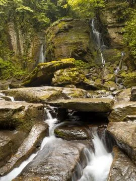 Waterfall into jungle Stock Photos
