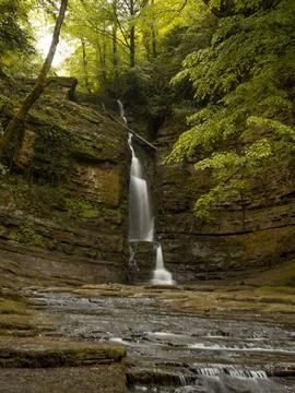 Waterfall into jungle Stock Photos
