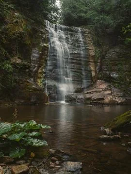 Waterfall into jungle 库存照片