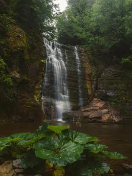 Waterfall into jungle Stock Photos