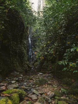 Waterfall into jungle Stock Photos