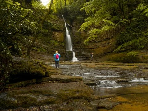 Waterfall into jungle Stock Photos