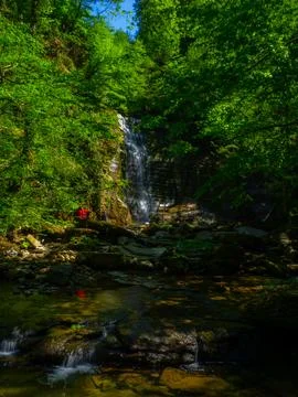 Waterfall into jungle Fotos de archivo