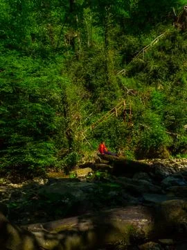 Waterfall into jungle Stock Photos