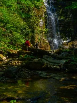 Waterfall into jungle Stock Photos