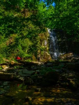 Waterfall into jungle Stock Photos