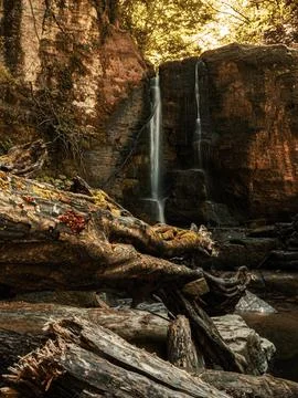 Waterfall into jungle Stock Photos