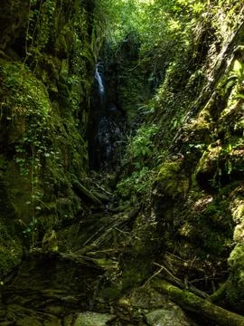 Waterfall into jungle Stock Photos