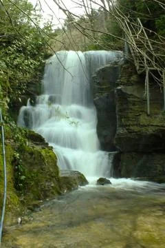 Waterfall into jungle Stock Photos