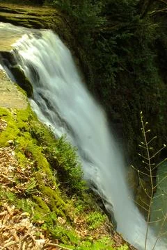 Waterfall into jungle 스톡 사진