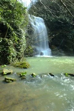 Waterfall into jungle Stock Photos