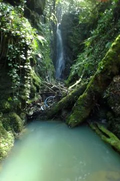 Waterfall into jungle Stock Photos
