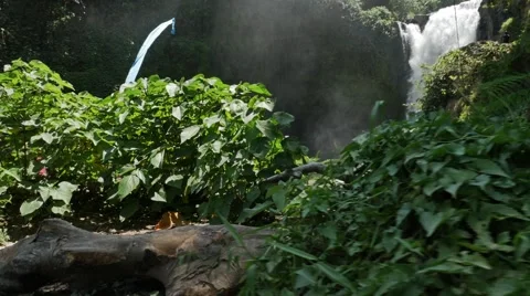 Waterfall Jungle slow motion Stock Footage 58251717