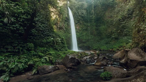 Waterfall Jungle tropical forest. Ubud Bali. Indonesia. Timelapse hyperlapse 4k Stock Footage 136004787