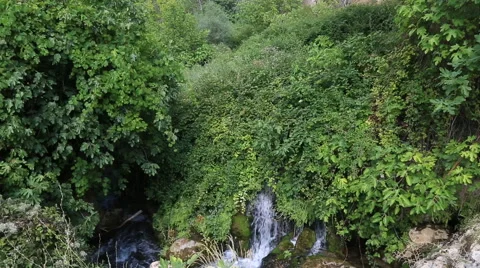 Waterfall In Jungle.Turkey Stock Footage 65840415