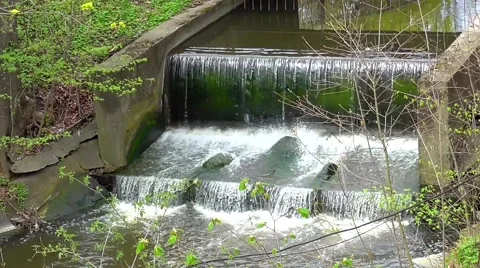 Waterfall in the Kaliningrad Zoo Vidéo 49525005