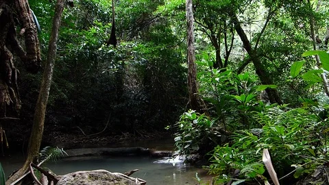The waterfall in Kanchanaburi Stock Footage 82358120