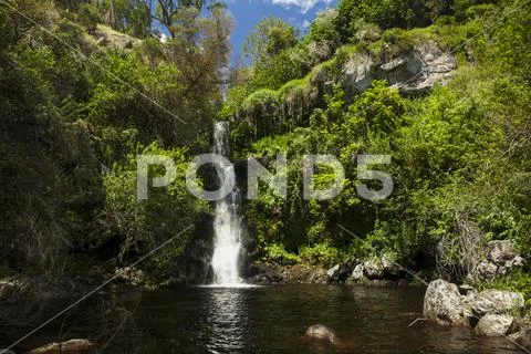 Waterfall, Kohala Mountain, above Waimea Stock Photos