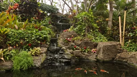 Waterfall to Koi Pond Stock Footage 104689440