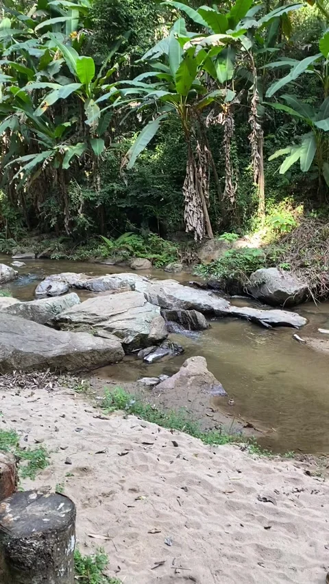 Waterfall, Lake Stock Footage 245221884