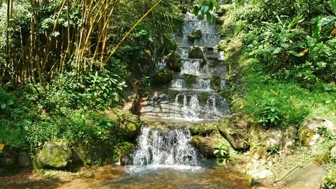 Waterfall landscape view in the rainforest. 動画素材 79191468