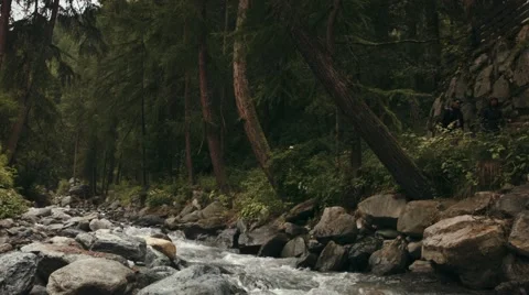 Waterfall in a larch forest 動画素材 67674642