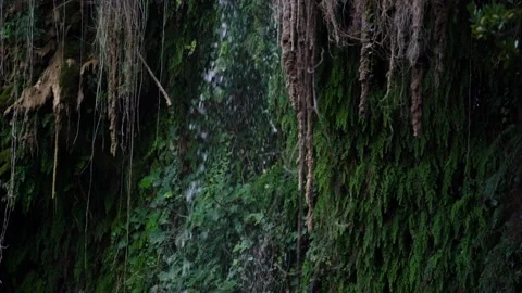 Waterfall with large drops falls over green grass into lake Stock Footage 139096919