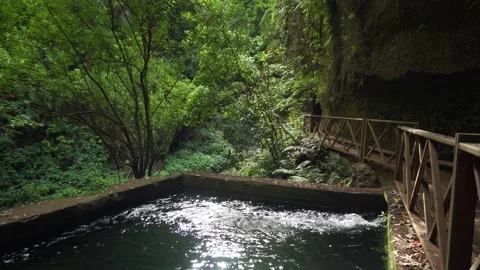 Waterfall in the laurel forest Los Tilos Video stock 130915046