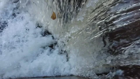 Waterfall leaf Stock Footage 258671032