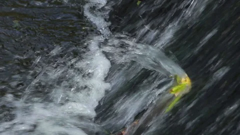 Waterfall with a leaf interrupting the flow Stock Footage 98678837