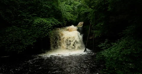Waterfall in a leafy forest Video stock 321726651