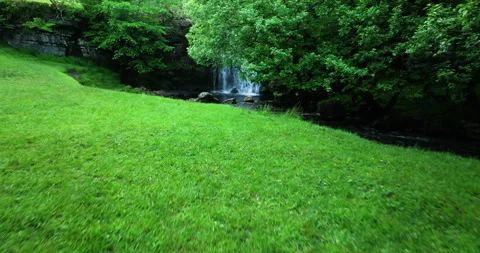 Waterfall in a leafy forest Stock Footage 337091066