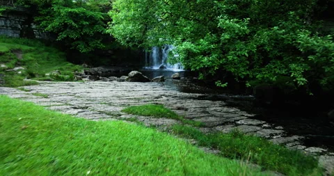 Waterfall in a leafy forest Stock Footage 337241684