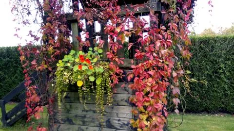 Waterfall from leaves Stock Photos