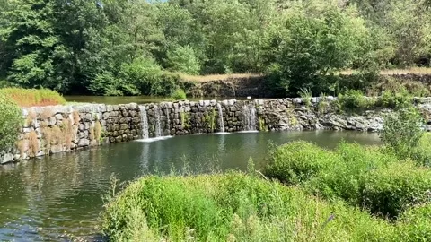 Waterfall in Les Cévennes Video stock 346501042