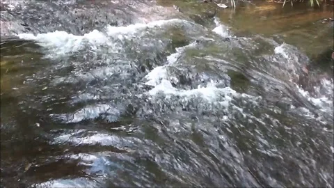 Waterfall located in Brazil Stock Footage 93116061