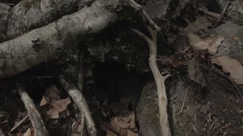 Waterfall long handheld Stock Footage 40018880