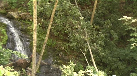 Waterfall long10 Video stock 292837