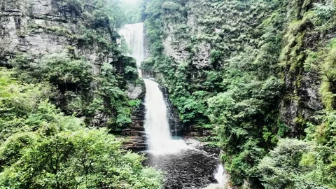 Waterfall in Lush Forest 4K Video Stock Footage 319924060