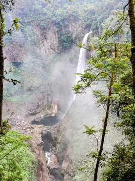 Waterfall in the lush forest cascading down a cliff Stock Photos