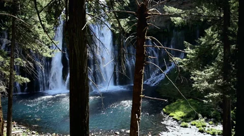 Waterfall in Lush Forest Stock Footage 38710835