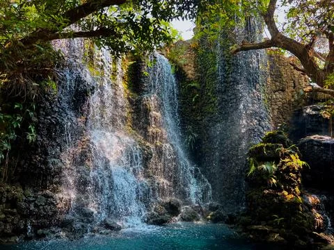 Waterfall in the Lush Forest Stock Photos
