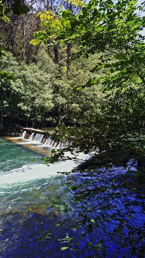 Waterfall in Lush Forest Setting Stock Footage 278398379